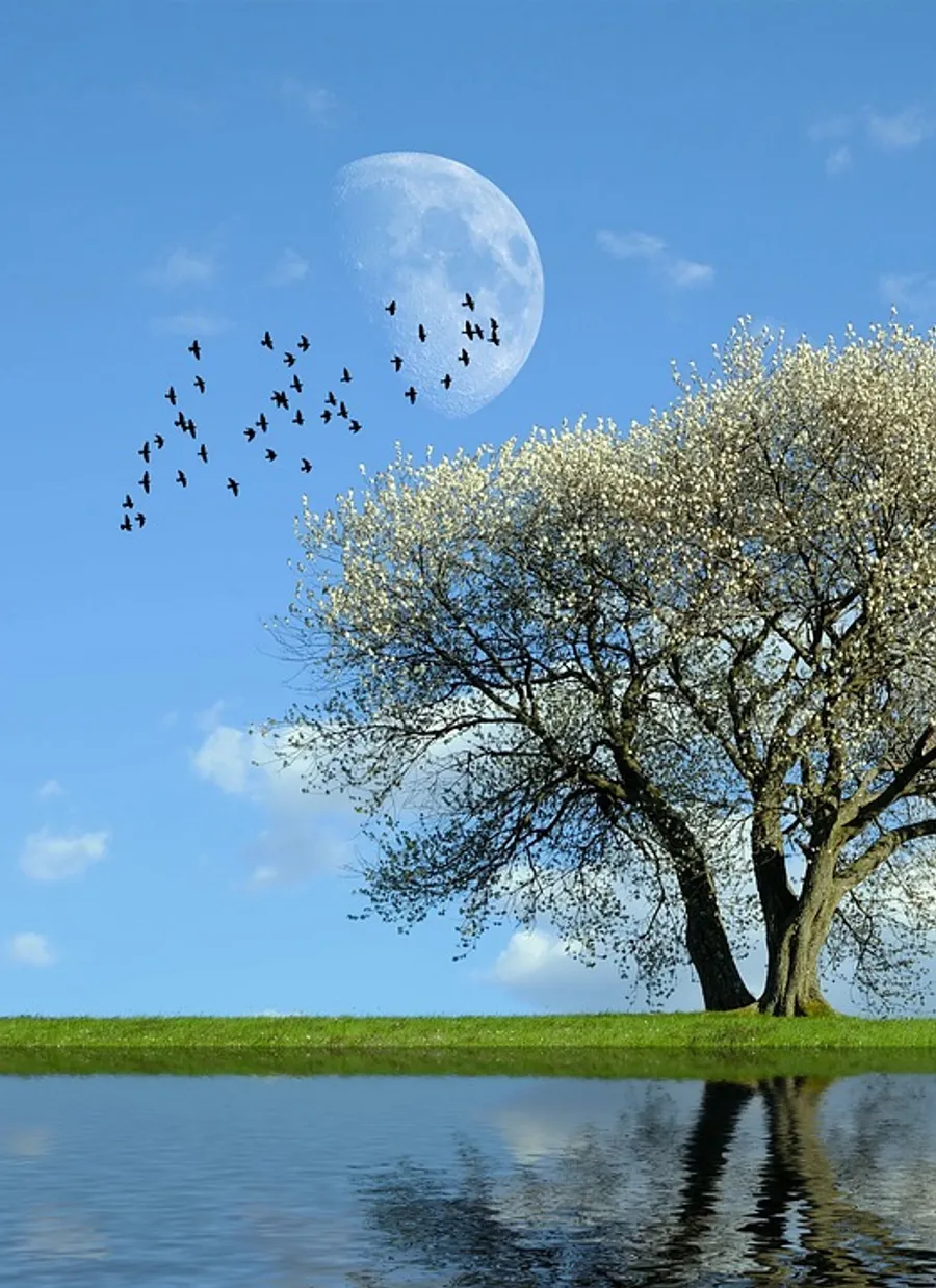 Un paysage naturel apaisant